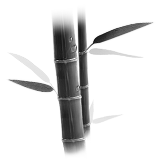 Ǯ